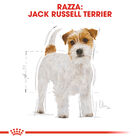 Royal Canin Dog Adult e Senior Jack Russell 1,5 kg - Scad 16 ottobre 2026