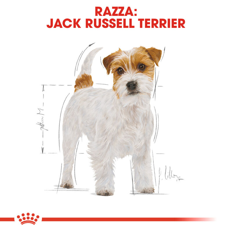 Royal Canin Dog Adult e Senior Jack Russell 1,5 kg - Scad 16 ottobre 2026
