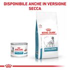 Royal Canin Veterinary Hypoallergenic Dog in Pat&eacute; 200 gr 
