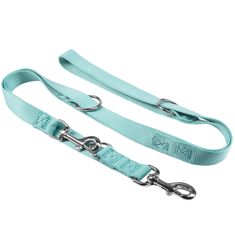 Petup Guinzaglio da addestramento 25mmx2mt acquamarina