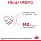 Royal Canin Cat Adult e Kitten Mother and Babycat 400 gr