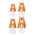 Petreet Cat Tonno rosa Tonno con sgombro 70 gr