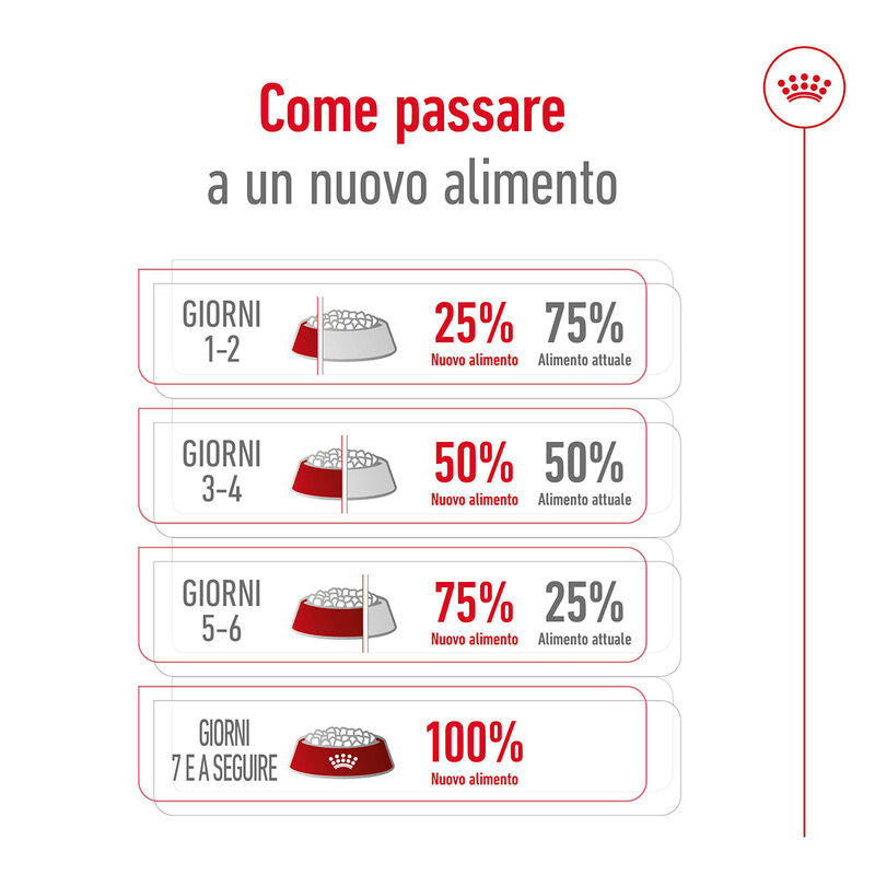 Royal Canin Dog Mini Adult 8 kg + 1kg Omaggio