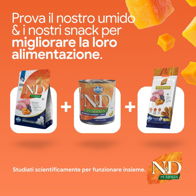 N&D Farmina Pumpkin Dog Puppy Medium & Maxi Agnello e Mirtillo 12 kg