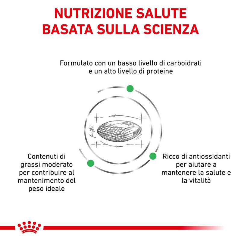 Royal Canin Veterinary Diet Cat Diabetic 400 gr
