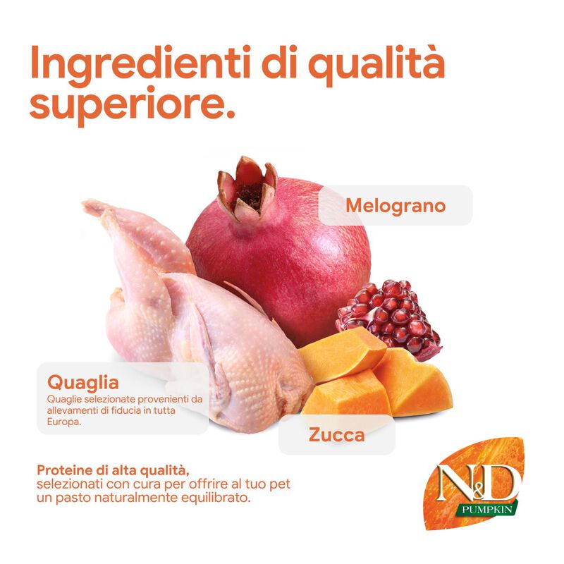 N&D Farmina Pumpkin Neutered Cat Quaglia e Melograno 1,5 kg