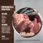 Orijen Gatto Adulto Regional Red 340 gr
