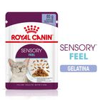 Royal Canin Cat Adult Sensory Feel Jelly 85 gr