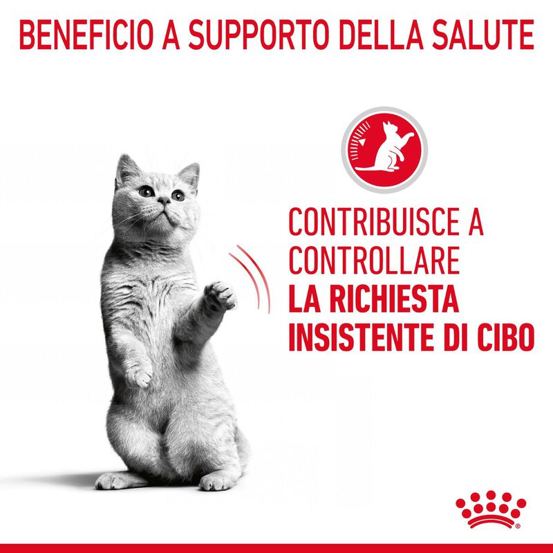 Royal Canin Cat Adult Appetite Control Care Gravy 85 gr