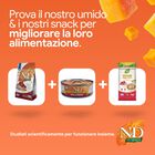 N&D Farmina Pumpkin Neutered Cat Quaglia e Melograno 1,5 kg