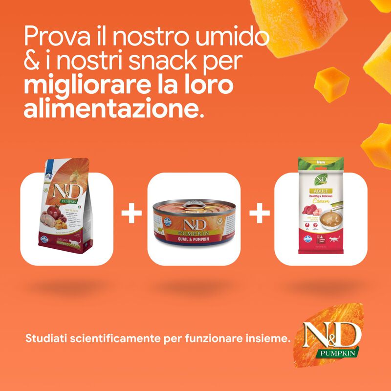 N&D Farmina Pumpkin Neutered Cat Quaglia e Melograno 1,5 kg