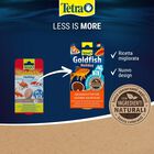 Tetra Goldfish Holiday 2 pz x 12 gr