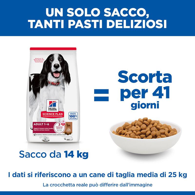 Hill's Science Plan Dog Medium Adult con Agnello e Riso 18 kg