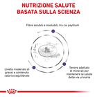 Royal Canin Expert Neutered Adult Small 1,5 kg