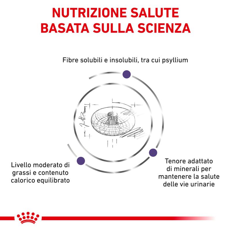 Royal Canin Expert Neutered Adult Small 1,5 kg