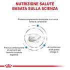 Royal Canin Veterinary Diet Cat Hypoallergenic 400 gr