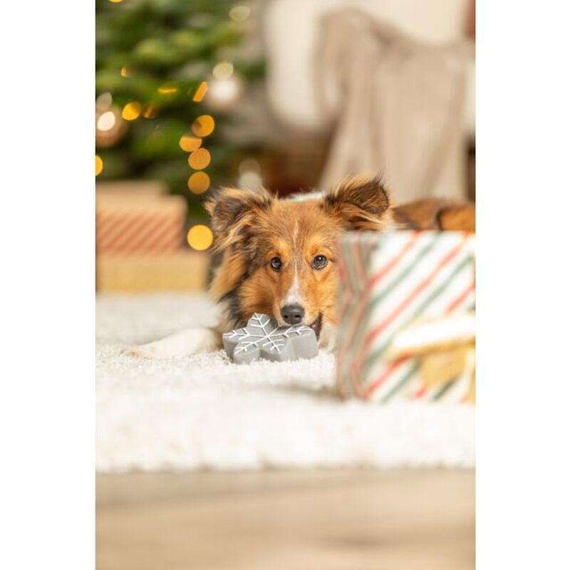 Trixie Gioco Xmas per cani Stella in latex 10 cm con squittio