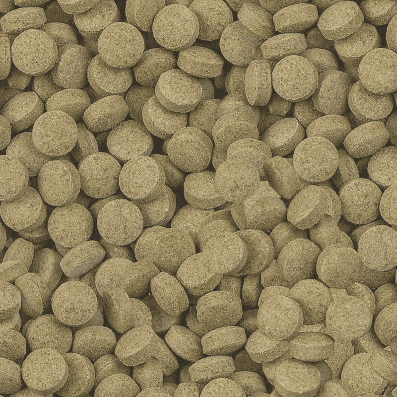 Sera Viformo Pleco Tabs 64gr 100 ml 