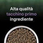 Purina Pro Plan LiveClear Cat Adult Sterilized ricco In Tacchino 1,4 kg
