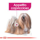 Royal Canin Dog Adult Mini Exigent 3 kg