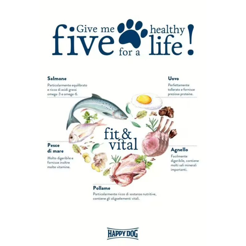 Happy Dog fit & vital Senior 12 kg