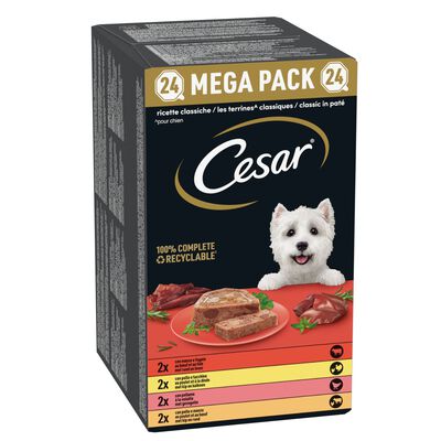 Cesar Dog Adult Ricette Classiche Mega Pack 24 x 150 gr