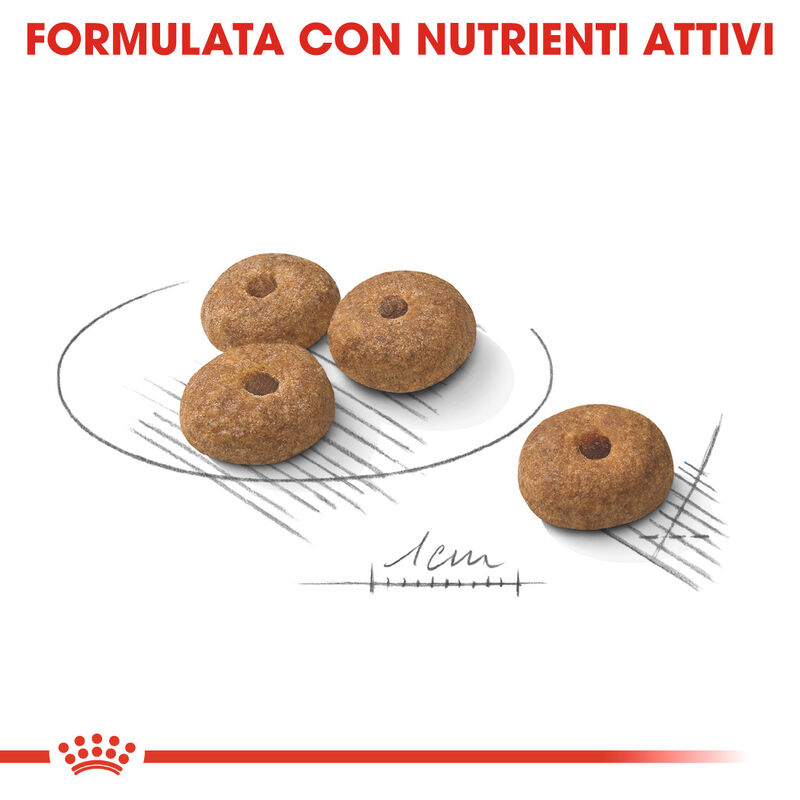 Royal Canin Dog Mini Adult Sterilised 1 kg