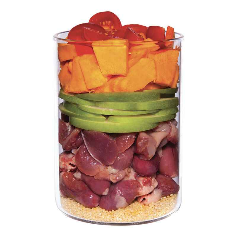 Terra Canis Dog Puppy Pollo con Zucca, Camomilla e Pomodoro 400 gr