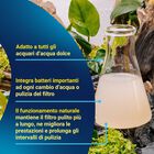 Tetra FilterActive Bacteria 100 ml