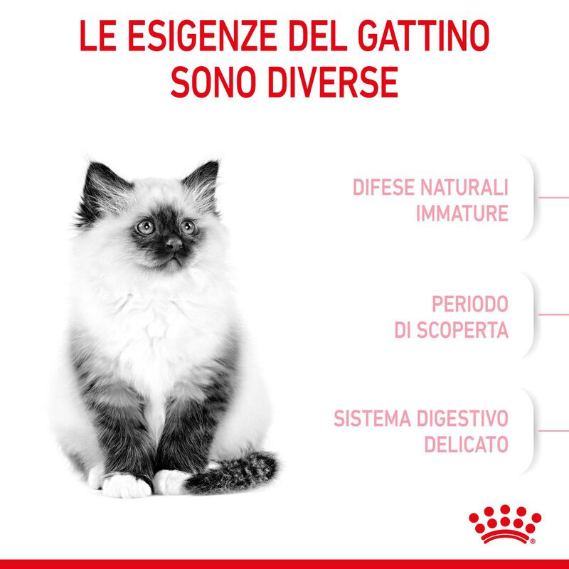 Royal Canin Cat Kitten 2 kg