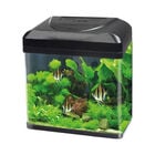 Blu Bios Acquario Billy 30 lt Nero