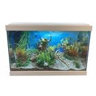 Askoll Decorazione per acquario Rana 6,5x5x4,5 cm