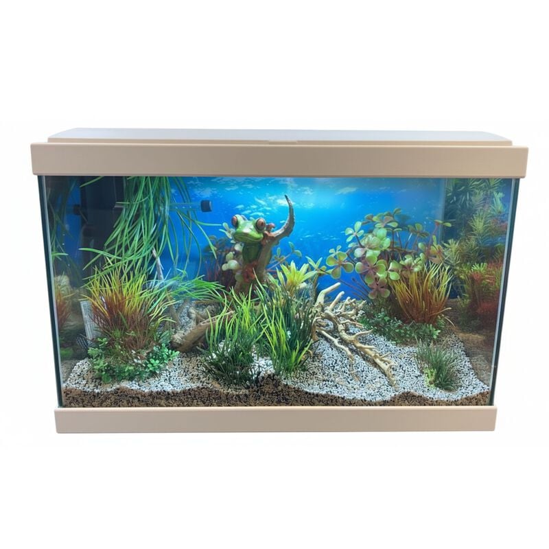 Askoll Decorazione per acquario Rana 6,5x5x4,5 cm