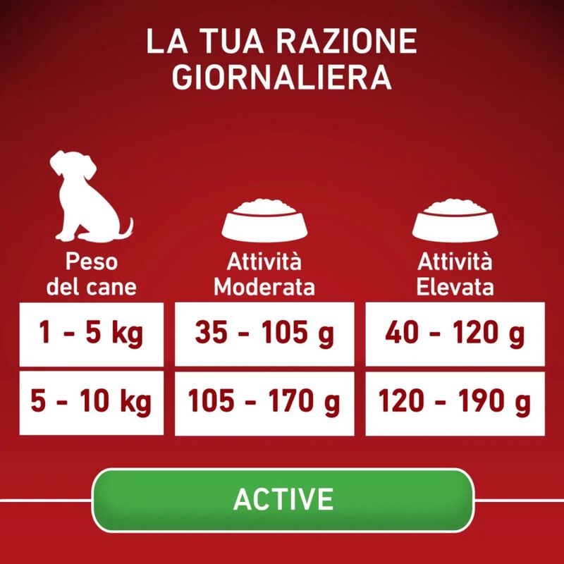 Purina One Dog Mini Active con Pollo e Riso 800 gr