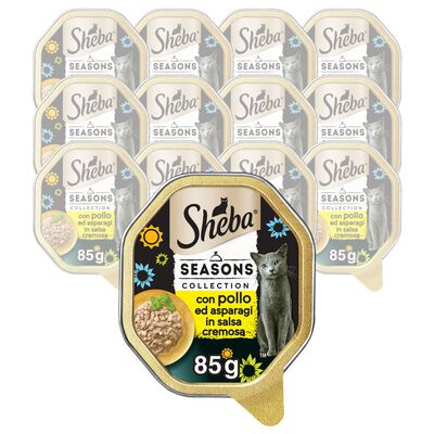 Sheba Cat Season Collection con Pollo e Asparagi 85 gr