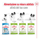 Royal Canin Dog Adult X-Small 1,5 kg