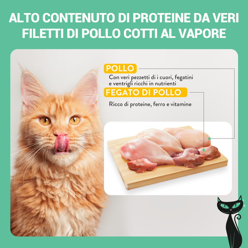 Schesir After Dark Cat Adult Filetti in brodo Pollo 80 gr