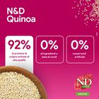 N&D Farmina Quinoa Dog Digestion Medium & Maxi Agnello 2,5 kg