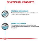 Royal Canin Veterinary Hypoallergenic Dog in Pat&eacute; 200 gr 