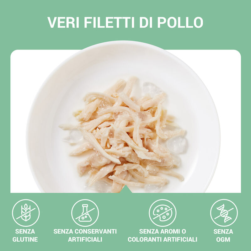Schesir Cat Filetti di Pollo in Gelatina 70g