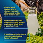 Tetra Algizit 10 Compresse