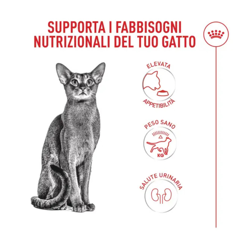 Royal Canin Cat Fussy Exigent 2kg