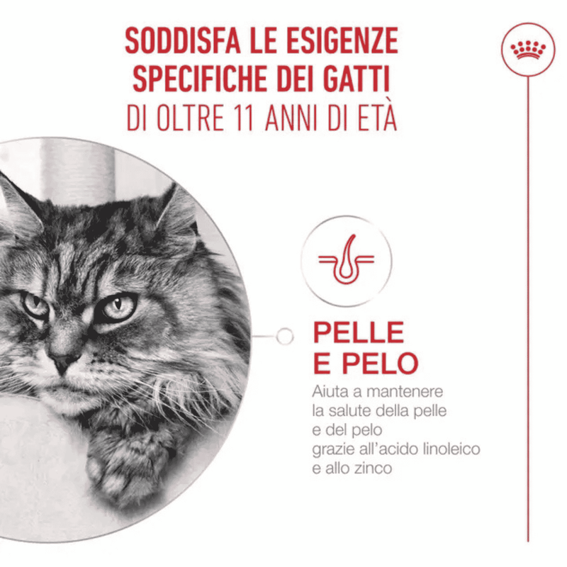 Royal Canin Cat Senior 11+ anni Airlift Mousse 85gr