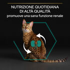 Purina Pro Plan Renal Plus Cat Adult 1+ Sterilised con Coniglio 400 gr