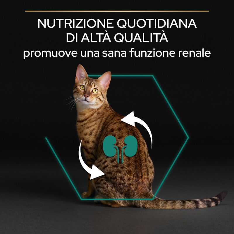 Purina Pro Plan Renal Plus Cat Adult 1+ Sterilised con Coniglio 400 gr