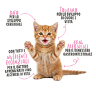 Schesir Kitten Latte pronto 150gr