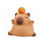 Leo Pet Capibara Mistery Box