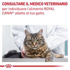 Royal Canin Veterinary Diet Cat Gastrointestinal Fiber Response 2 kg