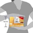 Gourmet Gold Cat Adult Multipack Delizie in Salsa 24 x 85 gr
