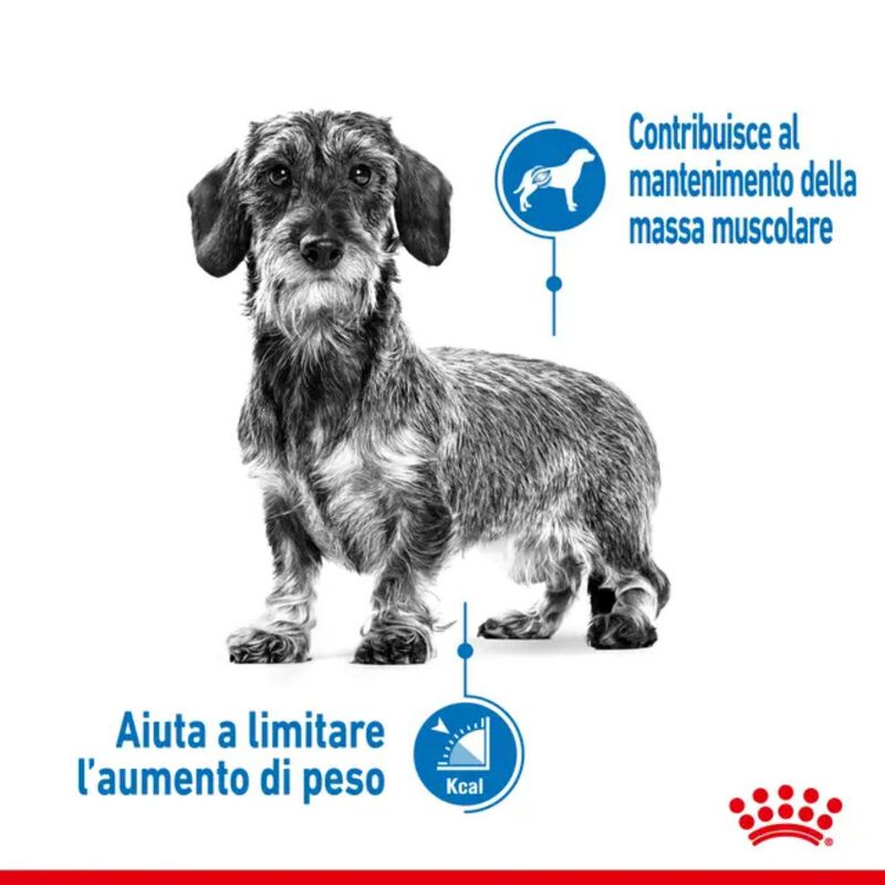 Royal Canin Dog Adult X-Small Light Weight Care 1,5 kg